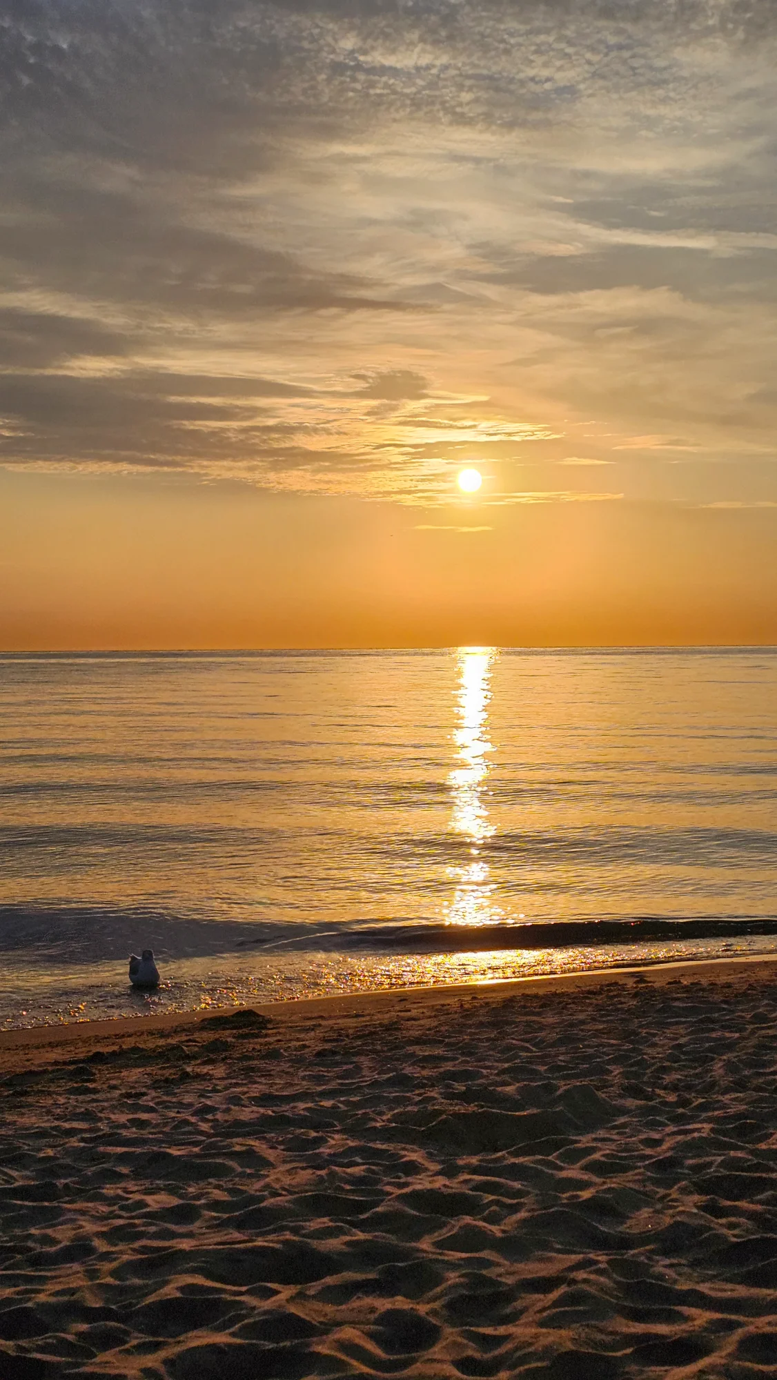 Lake Michigan Sunrise