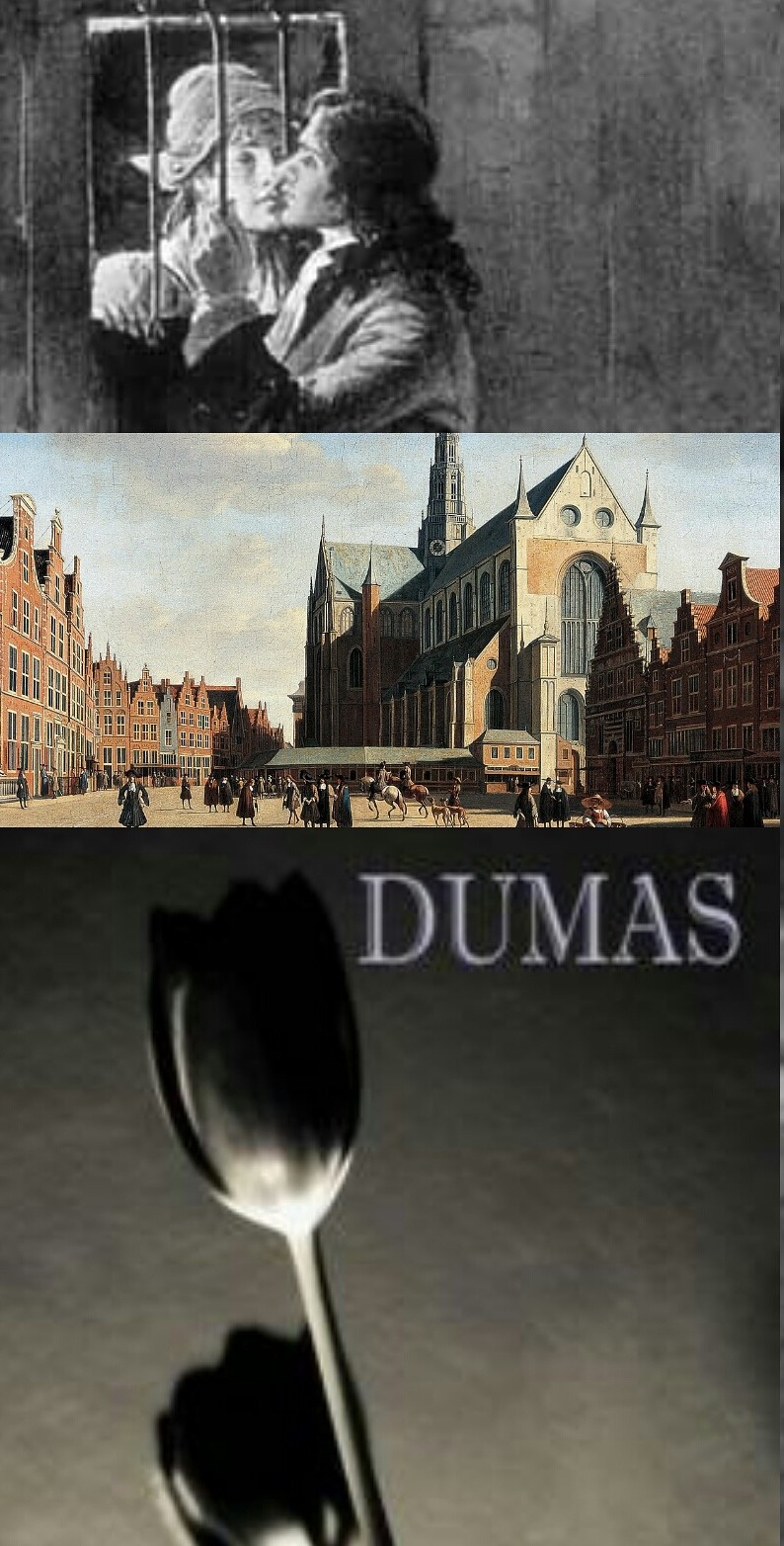 Rosa and the Black Tulip